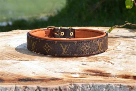 louis vuitton dog collar on dog|louis vuitton dog collar small.